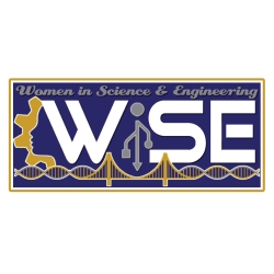 WISE logo on white background 